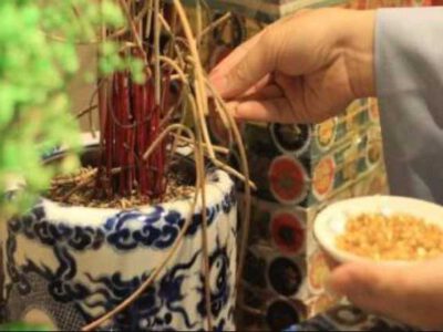 Thờ cúng người chết trẻ