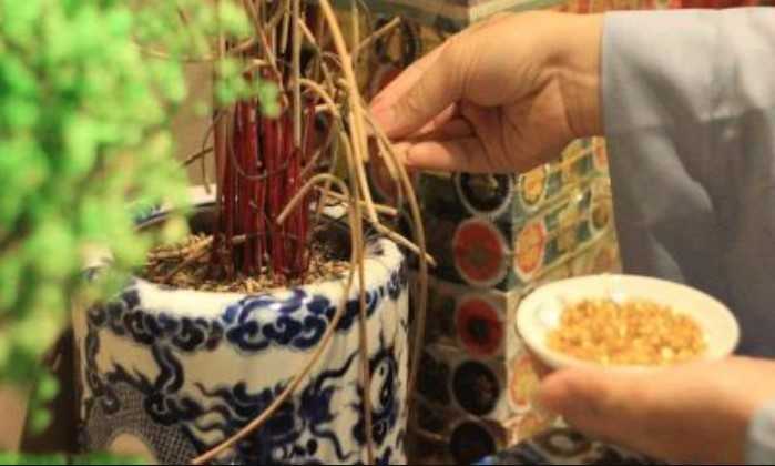 Thờ cúng người chết trẻ